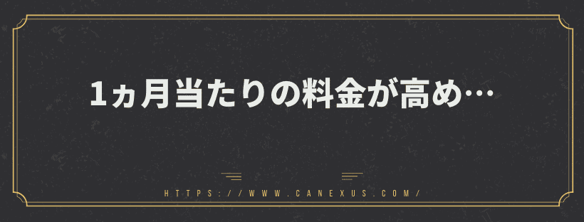 1ヵ月当たりの料金が高め