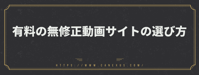 有料の無修正動画サイトの選び方