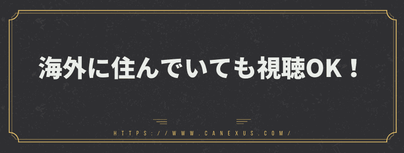 海外でも視聴ok